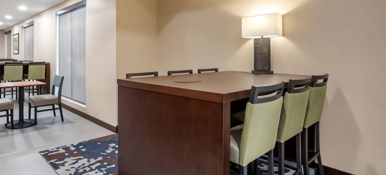 埃姆斯爱荷华州立大学校园附近舒适套房酒店(Comfort Inn and Suites Ames Near Isu Campus)图片