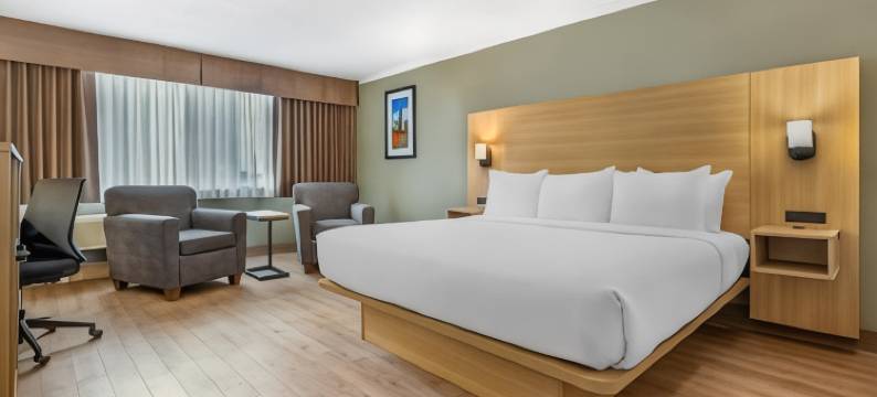 渥太华城市中心贝斯特韦斯特优质酒店(Best Western Plus Ottawa City Centre)图片