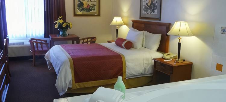 南湾贝斯特韦斯特优质酒店(Best Western Plus South Bay Hotel)图片