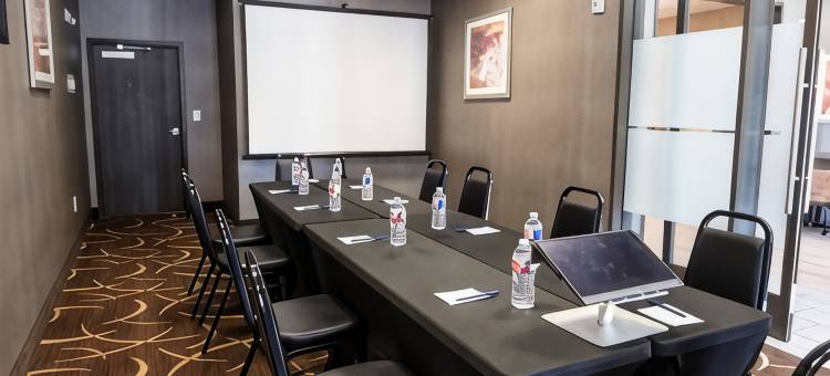 舒适套房靠近萨姆休斯顿赛马公园(Comfort Suites Near Sam Houston Race Park)图片