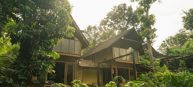 莲花森林屋(Lotus Forest Houses)图片