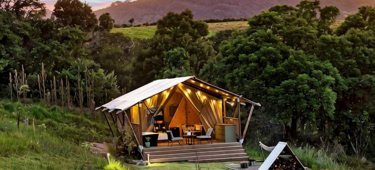 Cicada豪华露营(Cicada Luxury Camping)图片