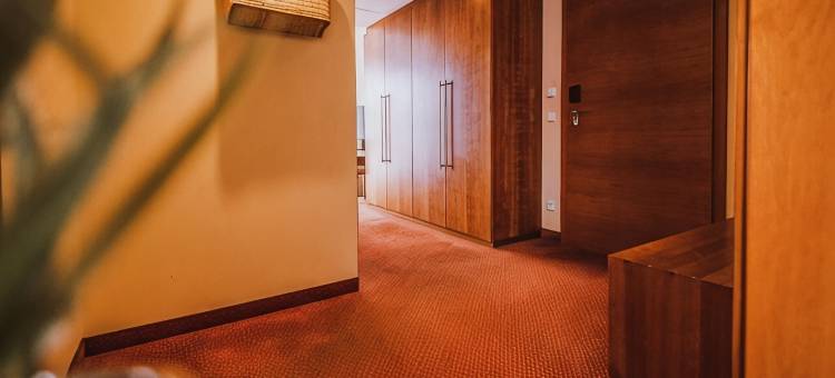 南湖酒店(Seehotel Süd)图片