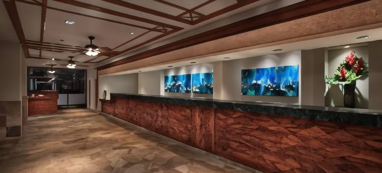 毛伊岛海洋俱乐部万豪酒店 - 拉海纳&纳皮里塔(Marriott's Maui Ocean Club  - Lahaina & Napili Towers)图片