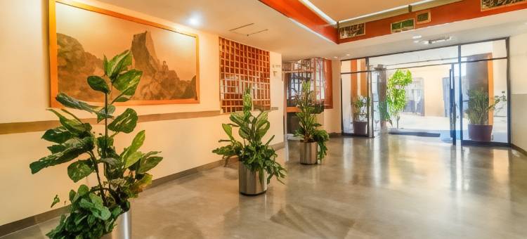 OYO伊达尔戈酒店(OYO Hotel Hidalgo)图片
