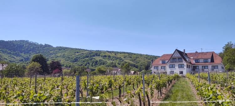 卡斯特博格原创精品酒店(Hôtel Restaurant le Kastelberg, the Originals Boutique)图片