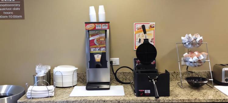 矿泉井城-帕克斯堡麦客达套房酒店(Microtel Inn & Suites by Wyndham Mineral Wells/Parkersburg)图片