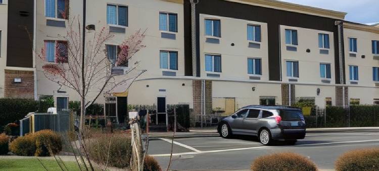 雷丁-沙斯塔湖舒适套房酒店(Comfort Suites Redding - Shasta Lake)图片