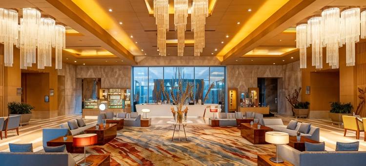 阿姆利则丽笙蓝标酒店(Radisson Blu Hotel Amritsar)图片