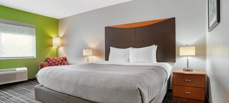 伯明翰品质酒店 - 高速公路280(Quality Inn & Suites Birmingham - Highway 280)图片