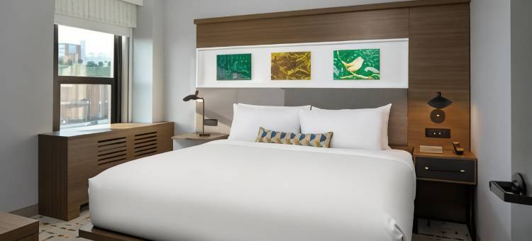 查塔努加市中心英迪格酒店(Hotel Indigo CHATTANOOGA - DOWNTOWN by IHG)图片