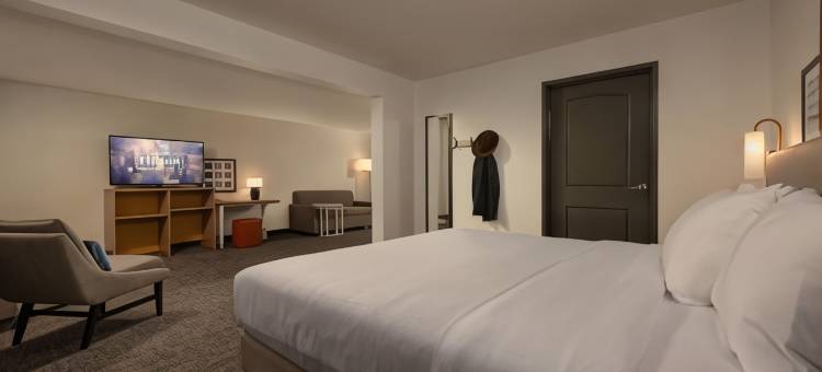 休斯顿布什洲际机场希尔顿Spark酒店(Spark by Hilton Houston Bush Intercontinental Airport)图片