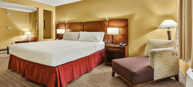智选假日套房酒店休斯敦南 - 近皮尔兰(Holiday Inn Express & Suites Houston South - Pearland)图片