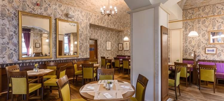 塞克什白堡美居匈牙利国王酒店(Mercure Szekesfehervar Magyar Kiraly)图片