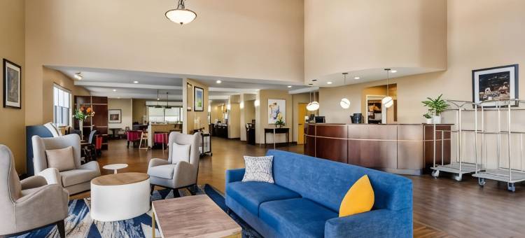 塞勒姆罗阿诺克I-81舒适套房酒店(Comfort Suites Salem-Roanoke I-81)图片