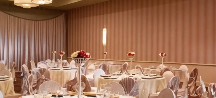 喜来登阿尔伯克基机场酒店(Sheraton Albuquerque Airport Hotel)图片