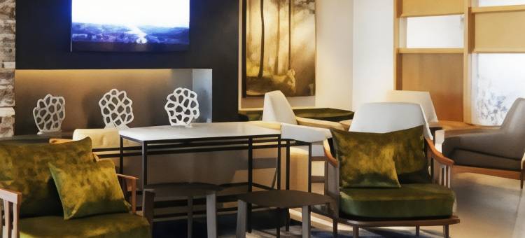 墨尔本维埃拉万枫套房酒店(Fairfield Inn & Suites Melbourne Viera Town Center)图片