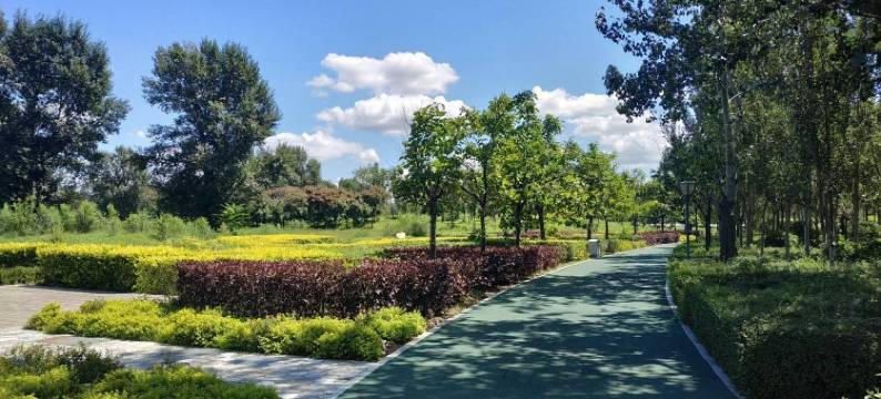 南洋的天空公寓(洛阳路分店)图片