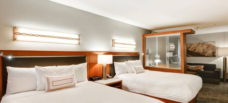 丹佛万豪SpringHill酒店- 安舒茨医学院(SpringHill Suites Denver at Anschutz Medical Campus)图片