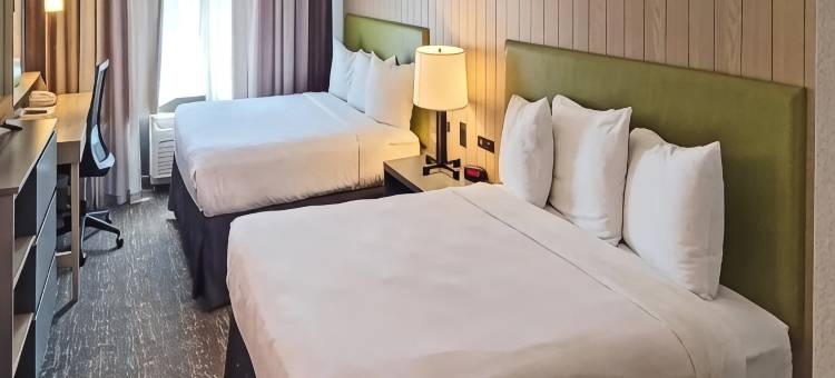 乔治亚州坎顿丽怡套房酒店(Country Inn & Suites by Radisson, Canton, GA)图片