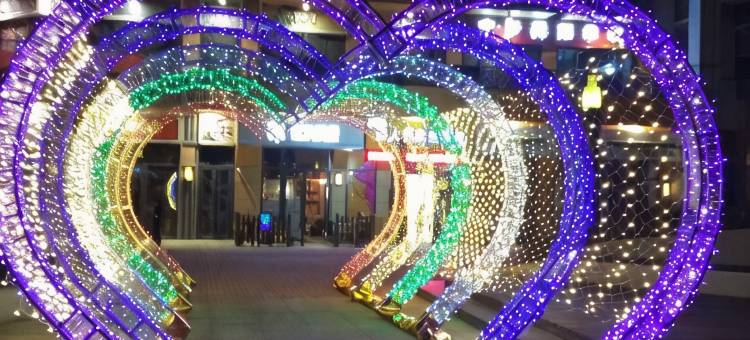 品逸精品酒店(德州万达广场店)图片