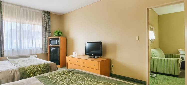 莫里斯I-80舒适酒店(Comfort Inn Morris I-80)图片