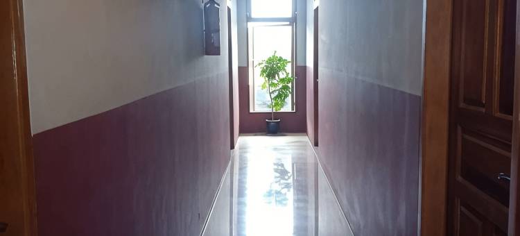 赛梅鲁酒店(Hotel Semeru Bogor)图片