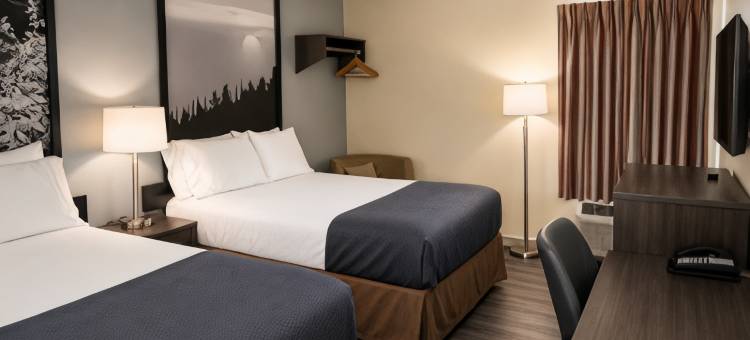 诺克斯维尔市中心北美洲最佳价值旅馆(Americas Best Value Inn Knoxville Downtown North)图片