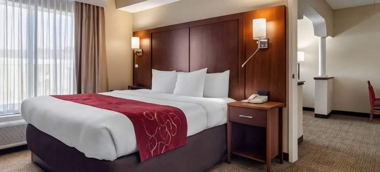 伍德斯托克舒适套房酒店- 亚特兰大北(Comfort Suites Woodstock - Atlanta North)图片
