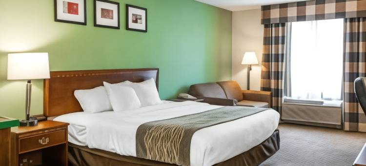 戈申舒适酒店(Comfort Inn)图片