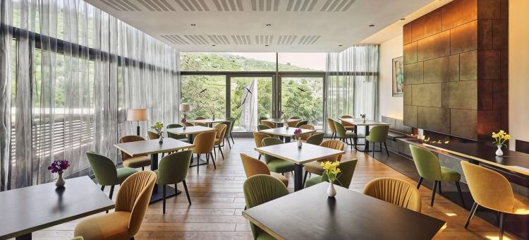 克雷姆斯水疗中心施柏阁酒店(Steigenberger Hotel and Spa, Krems)图片