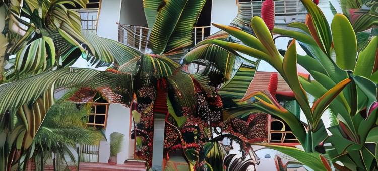香蕉山林小屋(Banana Lodge)图片