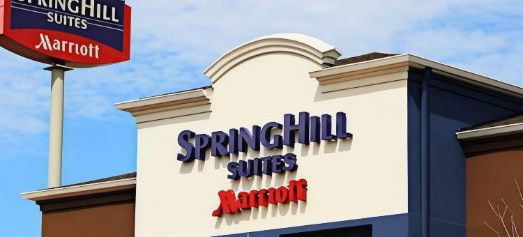 巴吞鲁日南万豪SpringHill酒店(SpringHill Suites Baton Rouge South)图片