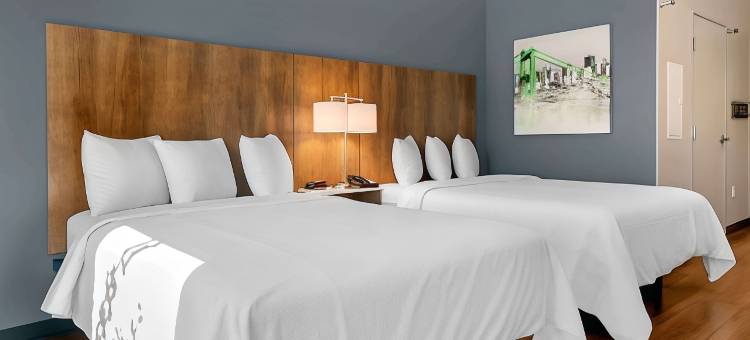 表演延长美国首领套房 - 弗雷德里克斯堡(Extended Stay America Premier Suites - Fredericksburg)图片