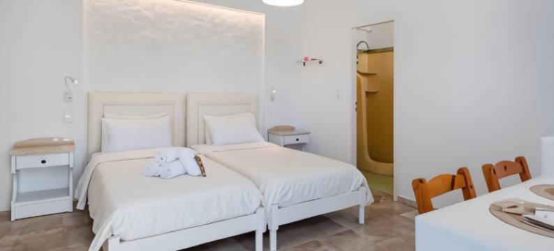 埃莱安娜一室公寓酒店(Eleana Studios)图片