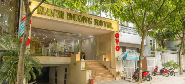 超级OYO Capital O 387白杨酒店(Super OYO Capital O 387 Bach Duong Hotel)图片