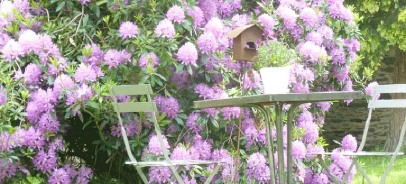 比利城堡旅馆酒店(Château Bily B&B Hôtel)图片