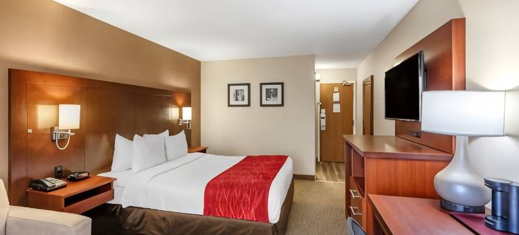 舒适酒店机场西(Comfort Inn Airport West)图片