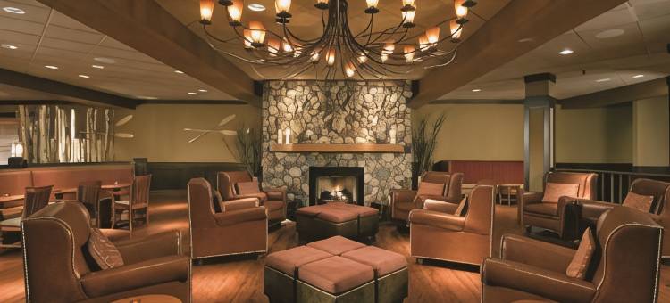 芝加哥希尔顿逸林酒店-阿灵顿高地(DoubleTree by Hilton Hotel Chicago - Arlington Heights)图片