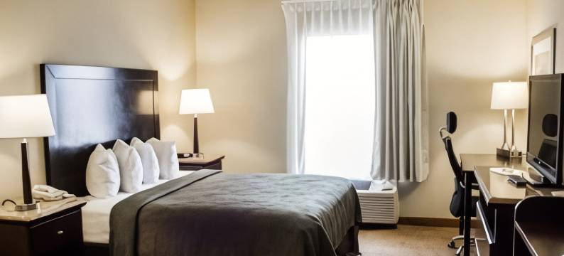 威尔逊I-95的品质套房酒店(Quality Inn & Suites Wilson I-95)图片