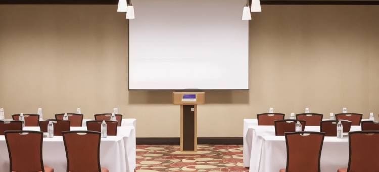 埃尔帕索希尔顿花园酒店/大学(Hilton Garden Inn El Paso / University)图片