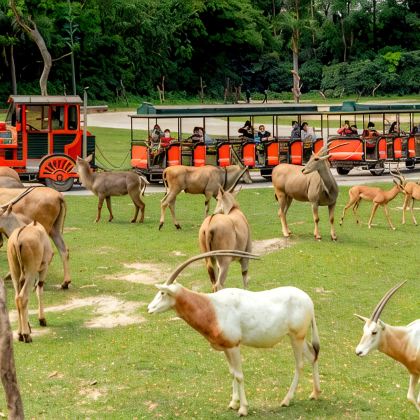 广州+广州长隆度假区+汕头+潮州+南澳岛+潮汕地区5日4晚私家团