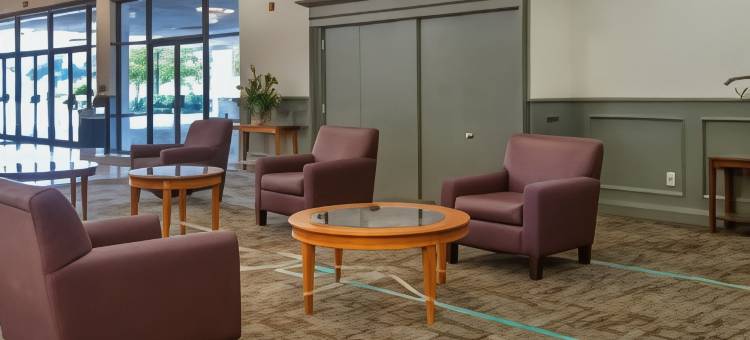 亚历山卓福朋喜来登酒店(Four Points by Sheraton Alexandria)图片