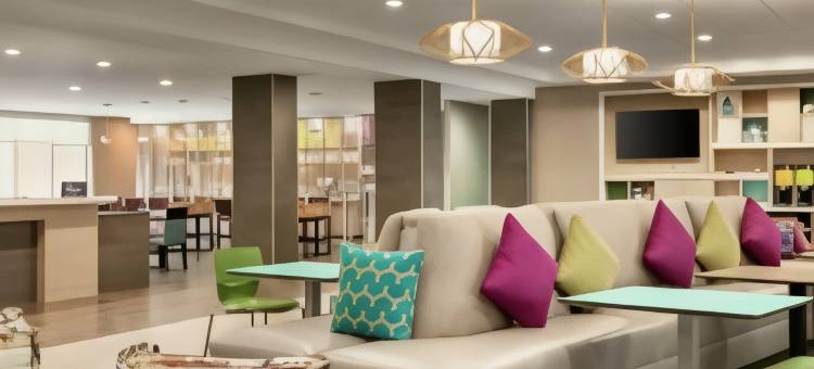 坦帕布兰登希尔顿惠庭酒店(Home2 Suites by Hilton Brandon Tampa)图片