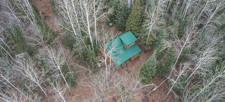 巴纳姆小屋，带有Soo Line越野车道的30英亩土地！(Barnum Cabin on 30 Acres w/ Soo Line Trail Access!)图片