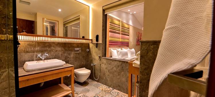 四甲贵族度假村(Four A Resort Jammu)图片