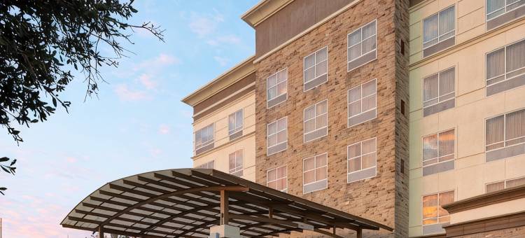 休斯顿西追希尔顿逸林酒店(DoubleTree by Hilton Houston Westchase)图片