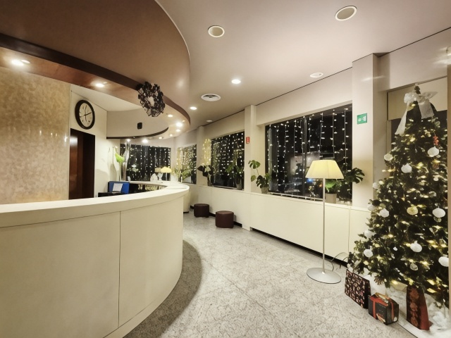 Hotel Excelsior Magenta Over view