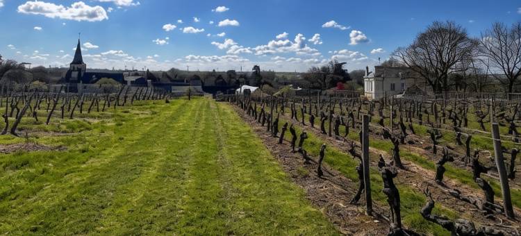 博蒙庄园 - 葡萄园与酒庄民宿(Domaine Beaumont - Vignoble & Maison d'Hôtes Vigneronne)图片