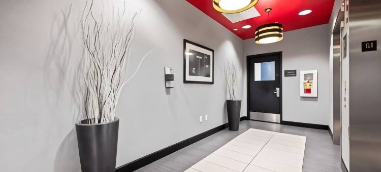 威廉斯堡历史区舒适套房酒店(Comfort Suites Williamsburg Historic Area)图片